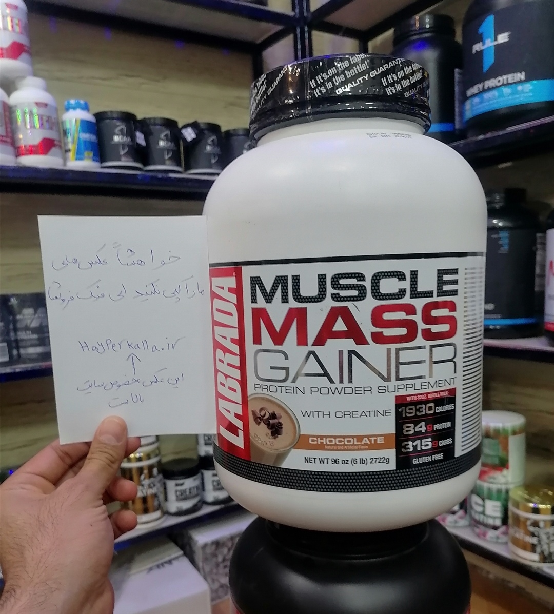 مس گینر لابرادا ماسل مس اصل تضمینی...